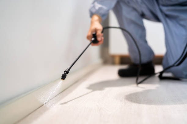 Licensed Pest Control service in Evansville, WI - Show Me Pest Control