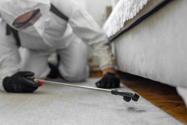 Professional Ant Control technician working in Evansville, WI