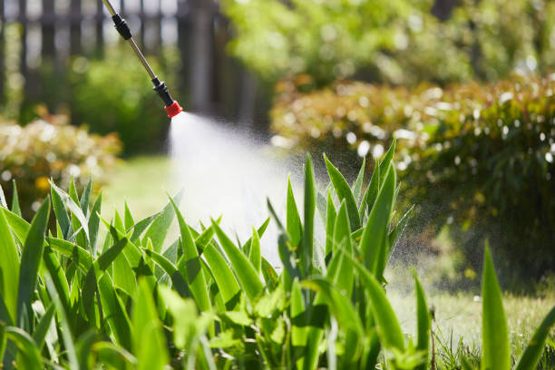 24/7 Emergency Ant Control experts in Evansville, WI