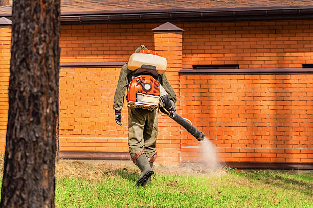 Top rated local Ant Control specialists in Evansville, WI